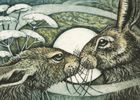 Louise Scott greeting cards range