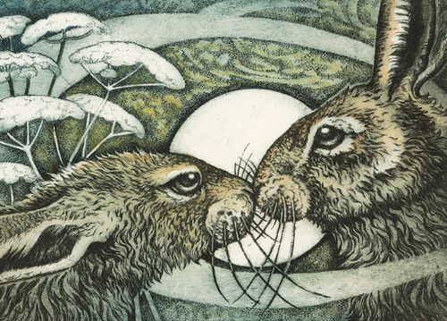 Hare Love II