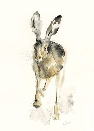 Brown Hare in Motion greeting card