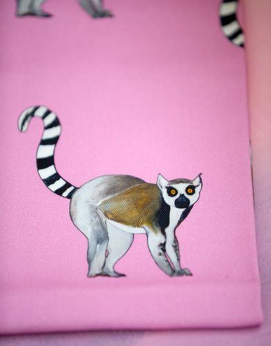 Livy Lemur collection