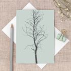 `Winter Trees` Card & Gift Range