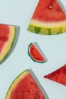 Watermelon Cross Stitch Brooch