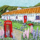 Sheena McGoogan greeting cards range