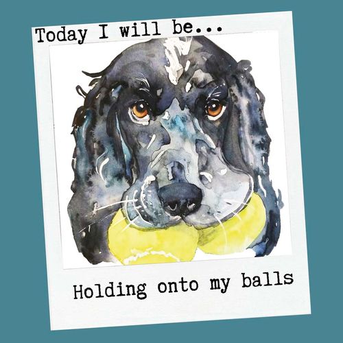 Holding onto my balls greeting card