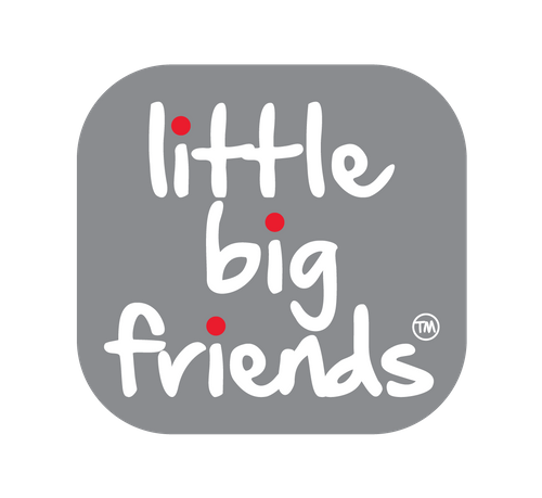 LITTLE BIG FRIENDS COLLECTION VIDEO