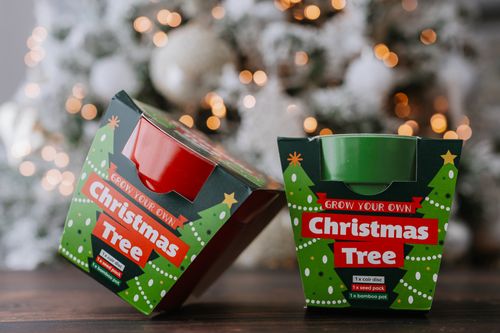 Grow Your Own Christmas Tree Kit