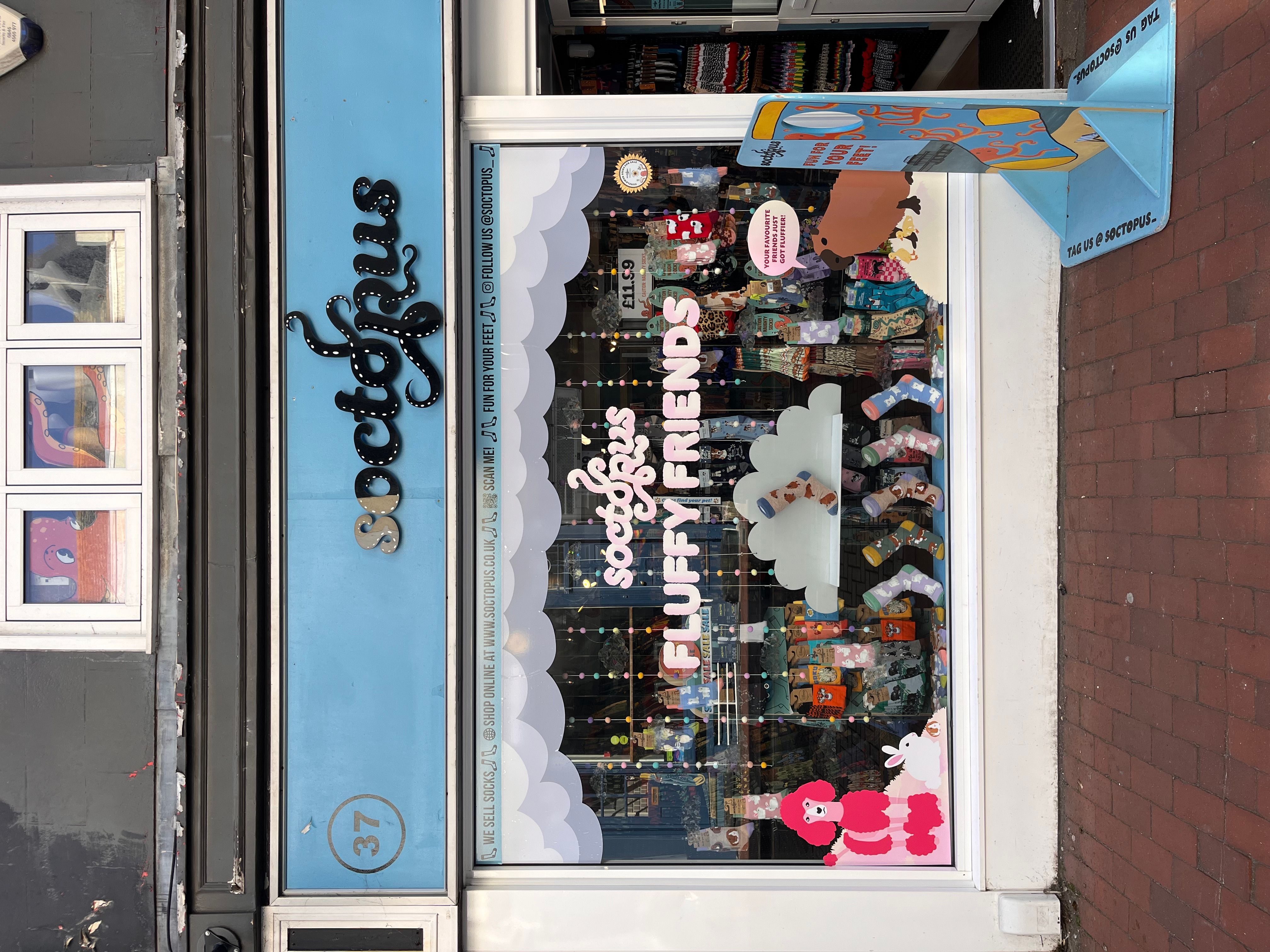 Brighton Socktopus