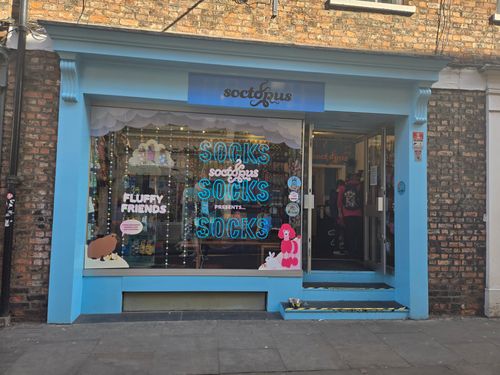 York Socktopus Shop Tour