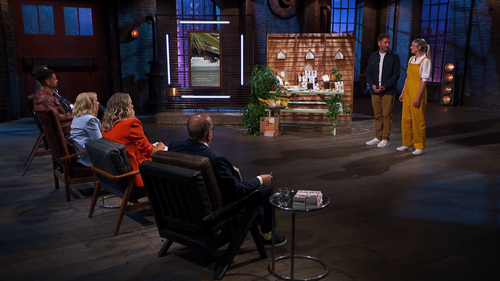 As Seen On Dragon's Den - Beevive