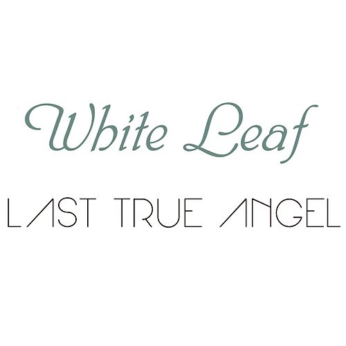 White Leaf & Last True Angel