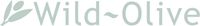 Company name - Wild-Olive Ltd