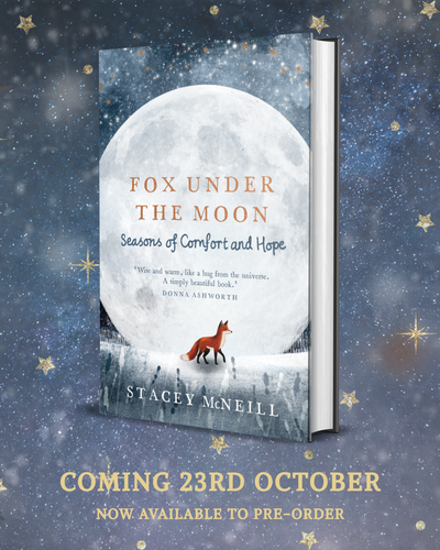 A Big Break Wrapped in Kindness: Fox Under The Moon's New Chapter Debuts at Home & Gift