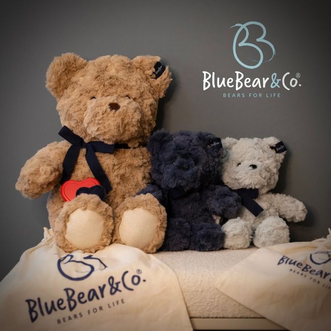Behind The Brand: Blue Bear & Co.