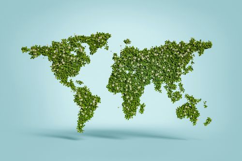 Sustainability in Retail: How Our Home & Gift Brands Are Leading the Way