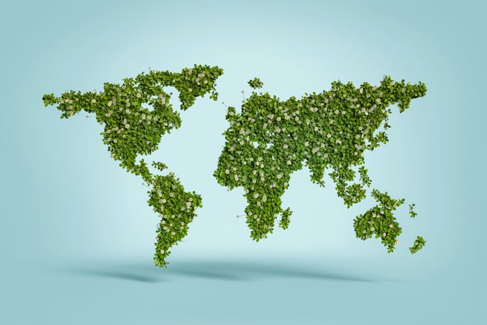 Sustainability in Retail: How Our Home & Gift Brands Are Leading the Way