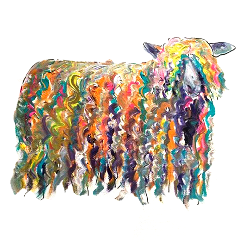 Rainbow Sheep