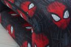 Spider-man Fold Out Bed Chair