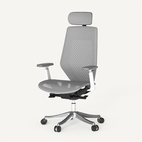 Mesh Ergonomic Office Chair BS11 PRO