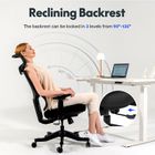 Flexi-Chair Ergonomic Office Chair BS8