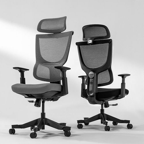 Flexi-Chair Ergonomic Office Chair BS8