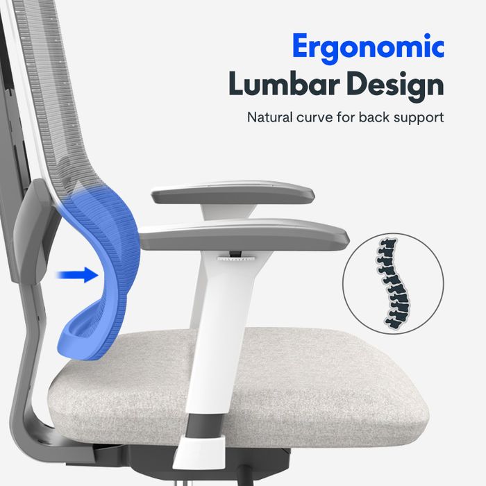 Ergonomic Dynamic Support Chair BS6