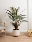 Artificial Palm Floor Plant in Minimal Ceramic Pot