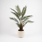 Artificial Palm Floor Plant in Minimal Ceramic Pot