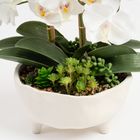 Elegant White Orchid Arrangement in Sculpted Ceramic Planter