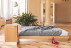 Bed Vira