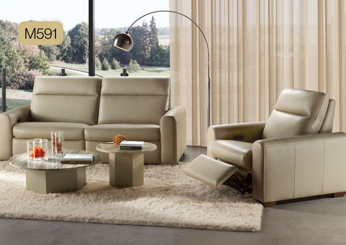 NEST Space Model M591