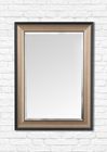 Metallic Black and Brushed Gold Mirror
