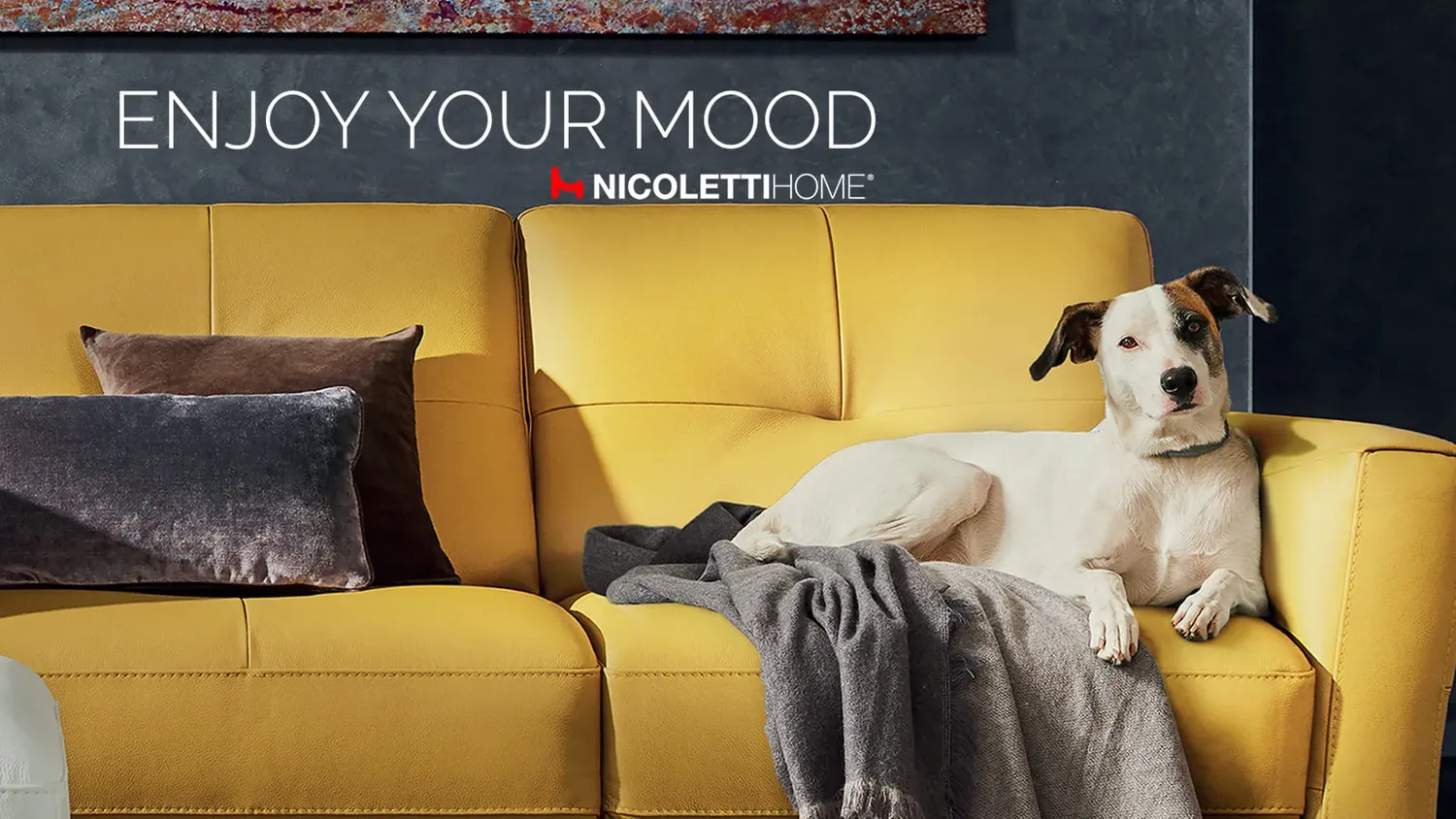 Nicoletti Home