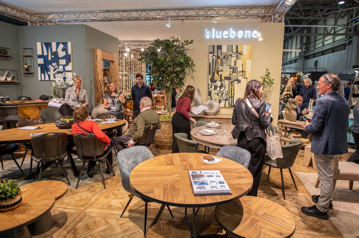 Strong Momentum, Bigger Brands and a Re Energised Buying Season