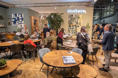 Strong Momentum, Bigger Brands and a Re Energised Buying Season