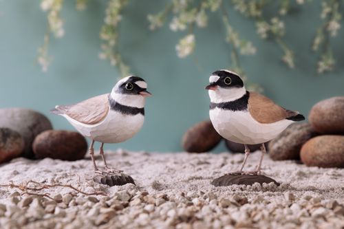 Behind The Brand: Wildlife Garden