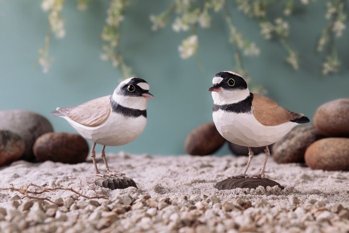 Behind The Brand: Wildlife Garden
