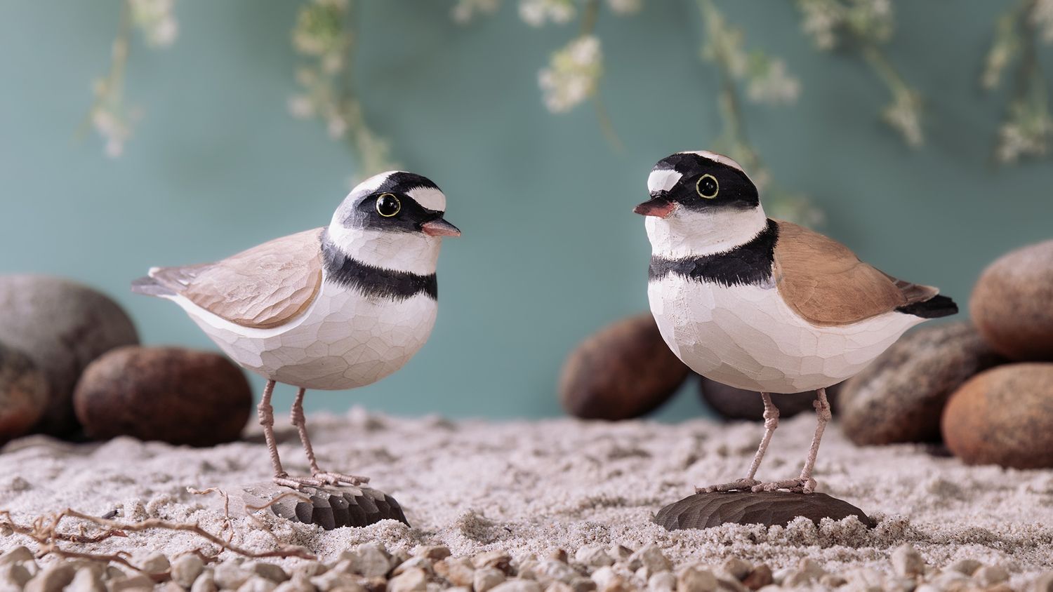 Wildlife Garden