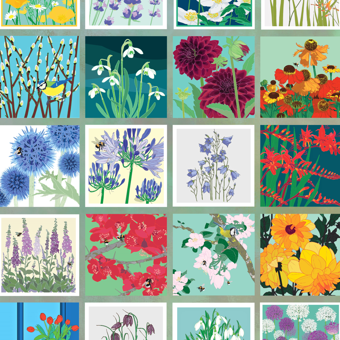 Umbellifer