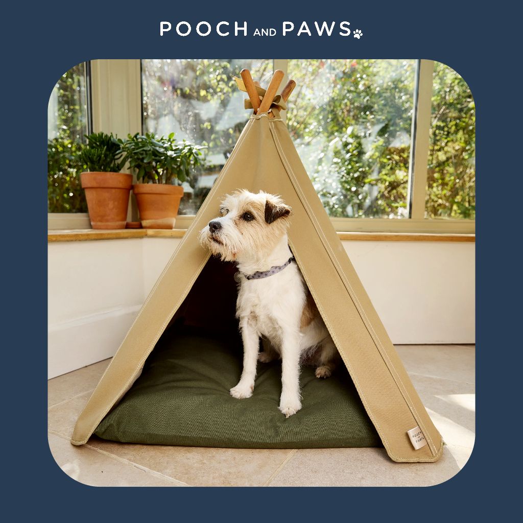 Pooch and Paws
