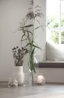 Vases
