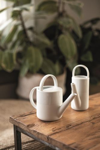 Flower Pots