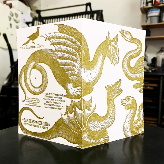 Sanders Gold Dragons