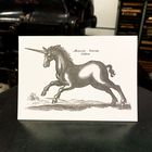 Sanders Black Unicorn