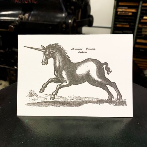 Sanders Black Unicorn