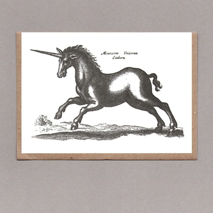 Sanders Black Unicorn
