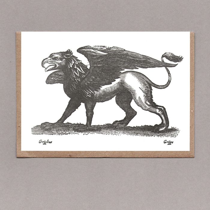 Sanders Black Griffin