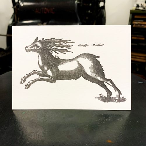 Sanders Black Reindeer