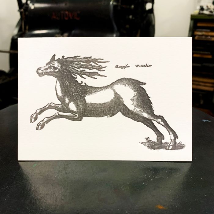 Sanders Black Reindeer