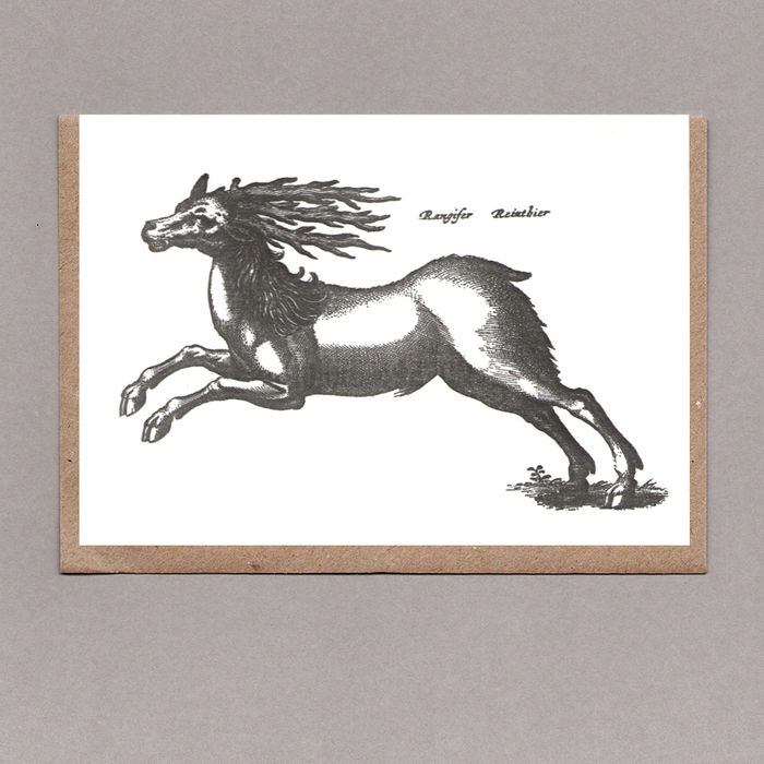 Sanders Black Reindeer