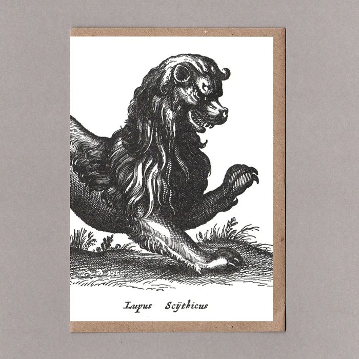 Sanders Black Lion